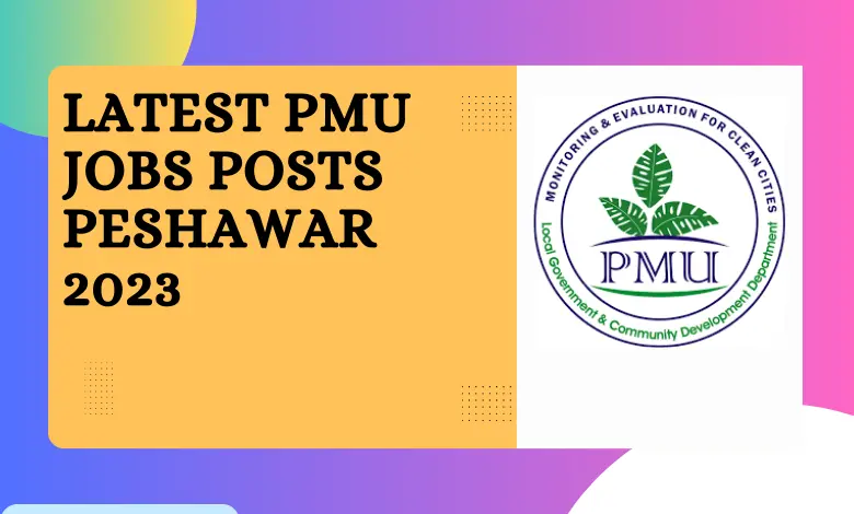 Latest PMU Jobs Posts Peshawar 2023
